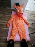 LA Pick UP/Ship Pumbaa Wild Pig Wildpig Boar Lions Mascot Costumes Party Suit