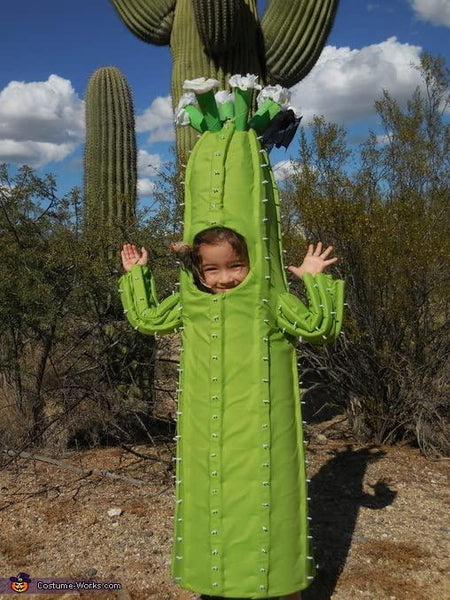 Cactus Suit Animal Mascot Costume Party Carnival Mascotte Costumes –  FurryMascot