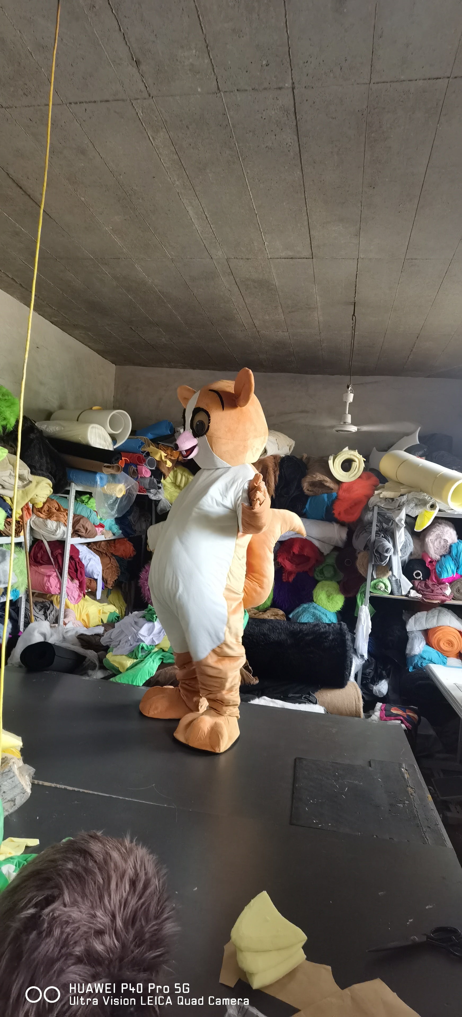 Brown Mort Owl Madagascar Mascot Costumes Carnival Party Suit