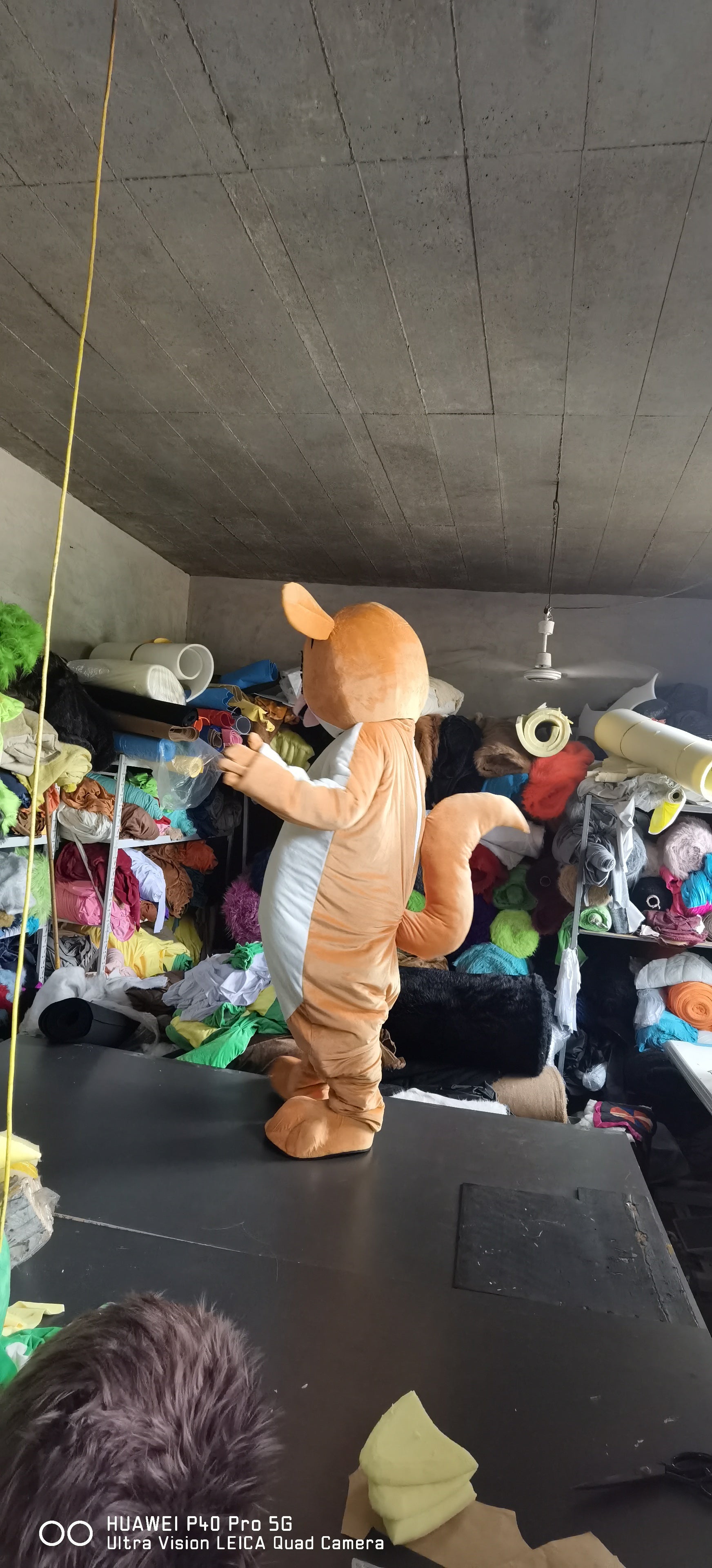 Brown Mort Owl Madagascar Mascot Costumes Carnival Party Suit