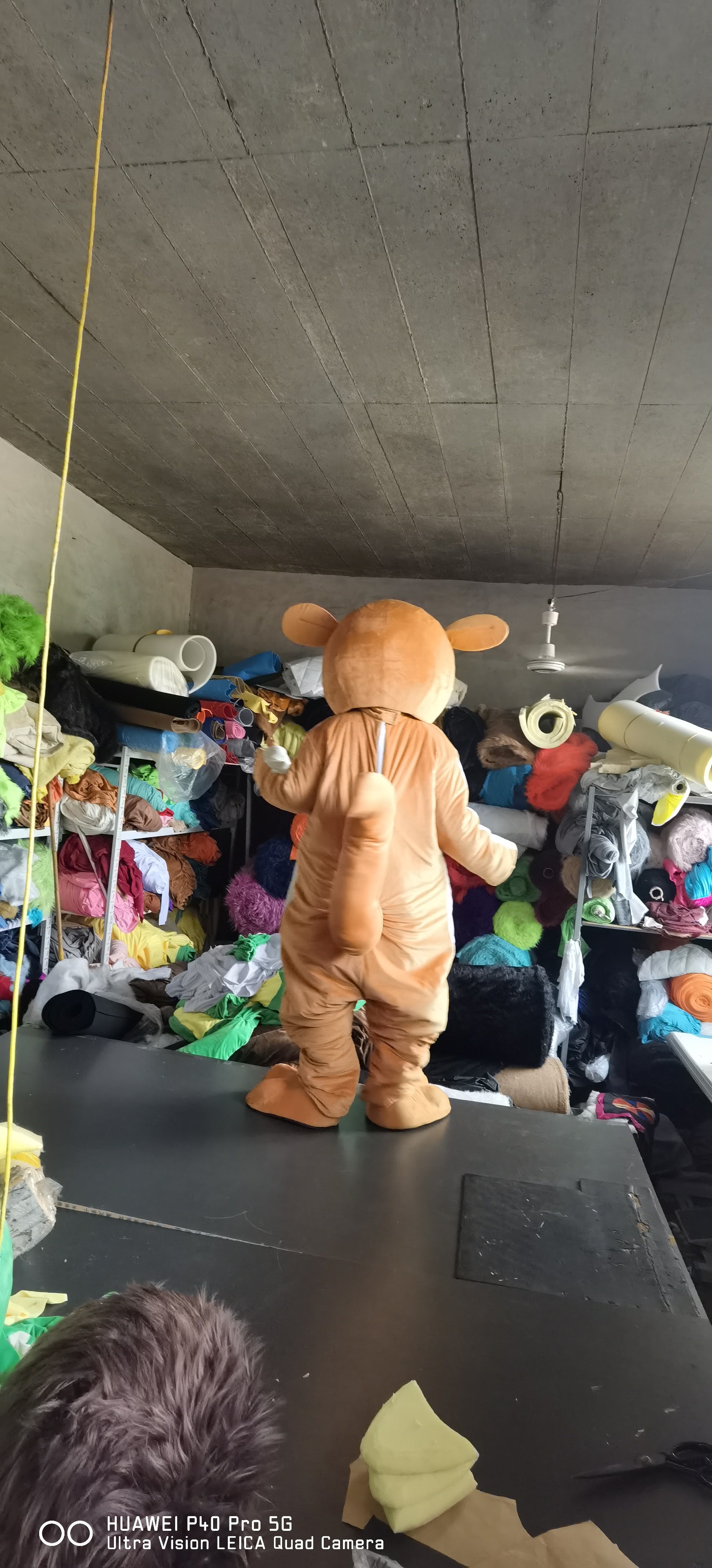 Brown Mort Owl Madagascar Mascot Costumes Carnival Party Suit