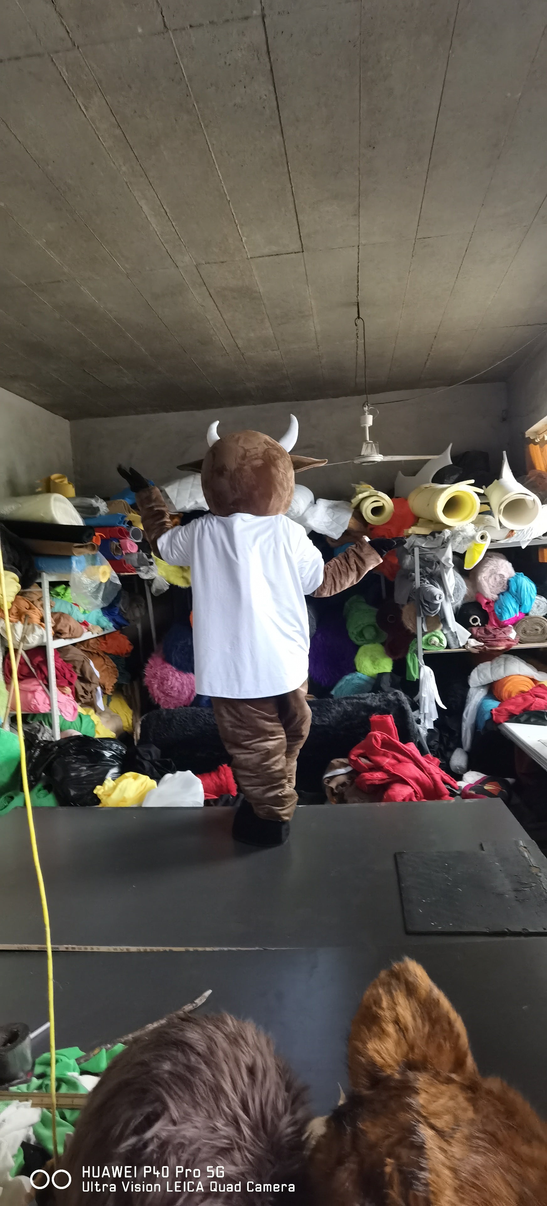 Bison Cow Buffalo Mascot Costumes Carnival Party Cosplay Suit