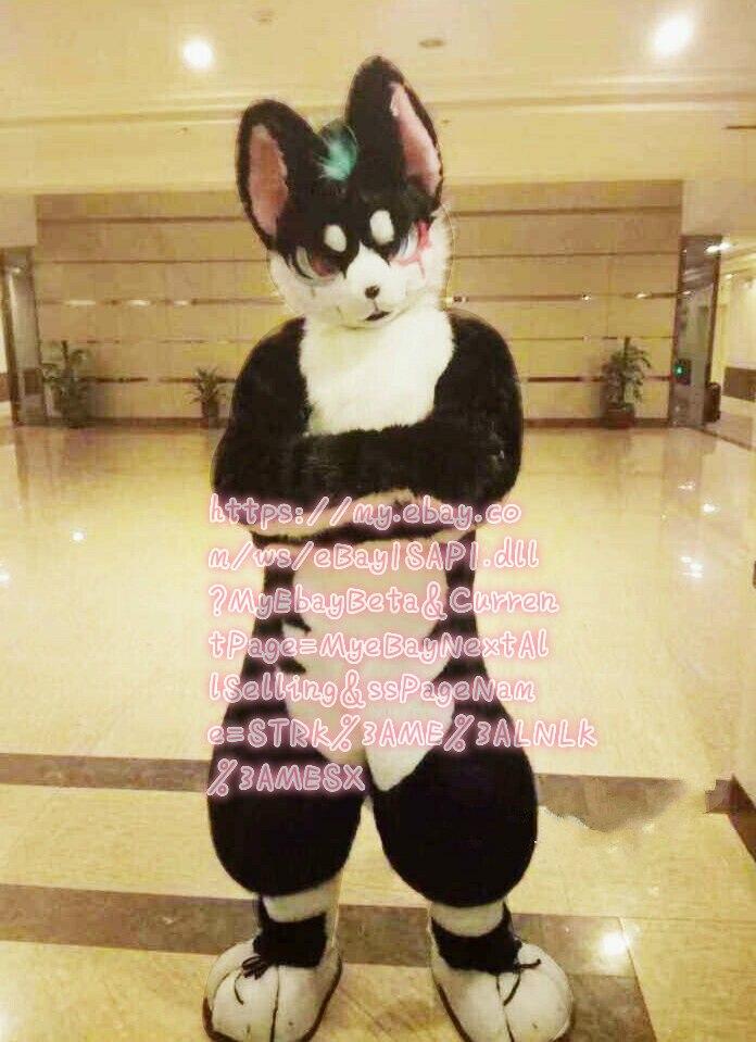 Best Quality on Ali Birthday Party Black Wolf Dog Fursuit Complete Costume Furry  Suit Cosplay  Fancy Dress Christmas Adult Size -  by FurryMascot -