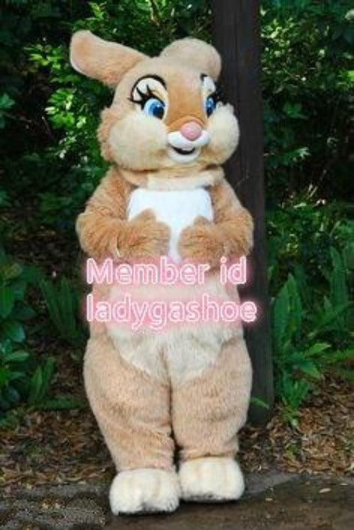 Professional Best Quality on Ali Birthday Party Biege Rabbit Complete Costume Furry Cosplay  Fancy Dress Christmas Adult Size -  by FurryMascot -