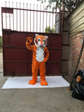100% ORIGINAL PHOTO 3D Eyes WildCat Tiger Cosplay Unisex Cute Newly Mascot Costume Mascotte Suit Cosplay Party Game Dress Outfit  Adult Hallowen Gift A+ -  by FurryMascot -