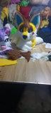 100% ORIGINAL PHOTO Yellow Husky 3D Eyes Cat Huksy Dog Fursuit Teen Costumes Child Full Furry Suit Fursona Kigurumi Digitigrade Anime With Head -  by FurryMascot - 