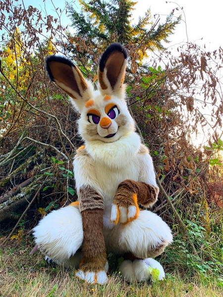 White Big Ear Bunny Rabbit Digitigrade Fursuit Costumes Furries Anime Furrymascot