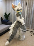 FurryWu Studio Jackalope Argus Cooker Spaniel Huksy Dog Fursuit Teen Costumes Child Full Furry Suit Fursona Kigurumi Digitigrade Anime