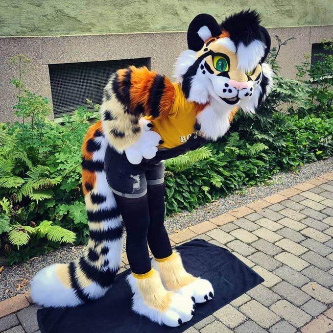 FurryWu Studio Cheetahs Tiger Cat Dog Fox Fursuit Teen Costumes Child ...