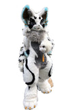Kemono Eyes Cat Plantigrade Bodysuit Fursuit Fullsuit Teen Costumes Child Full Furry Husky Wolf Dog Fox Cat Suit Furries Anime Digitigrade Costume Bent Legs -  by FurryMascot - 