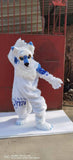FurryWu Studio Japan Kemono Kawaii White Cat Dog Fox Fursuit Teen Costumes Child Full Furry Suit Fursona Kigurumi Anime bj01 -  by FurryMascot - 