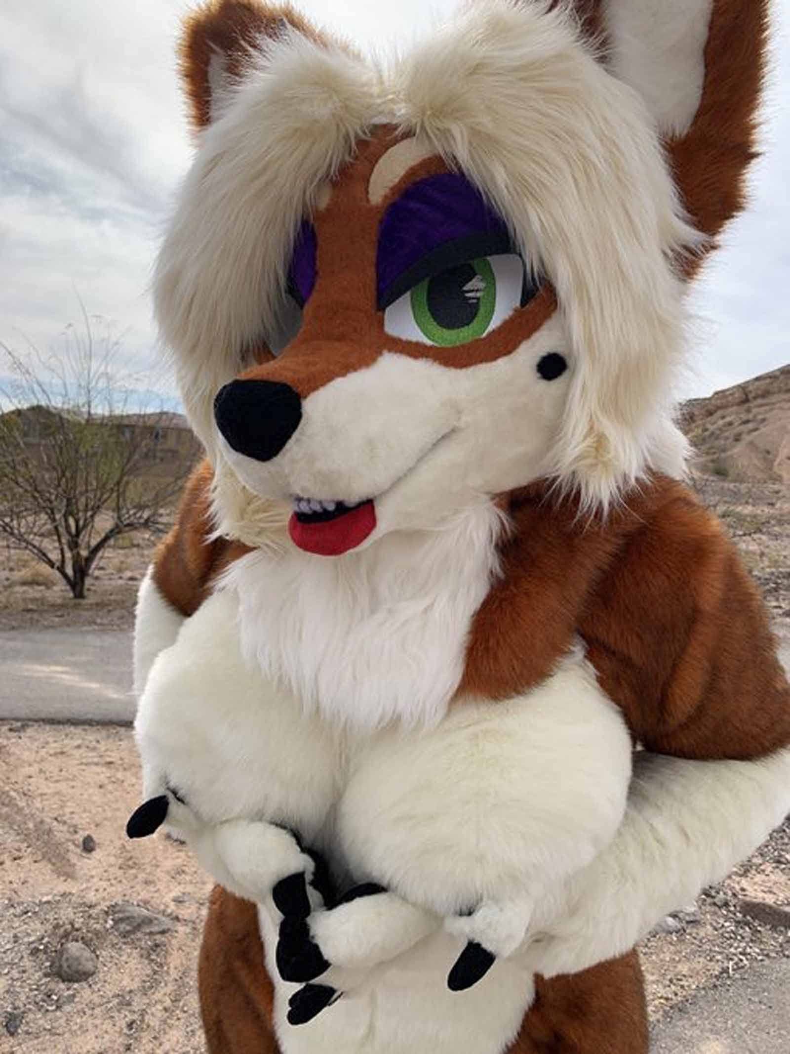 Brown Ladies Huksy Dog Fursuit Fullsuit Teen Costumes Child Full Furry brown-ladies-huksy-dog-fursuit-fullsuit-teen-costumes-child-full-furry