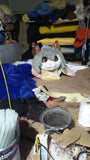 FurryWu Studio Japan Kemono Kawaii Cat Husky Fursuit Teen Jackalope Costumes Caribou Furry Suit Lavafox Fursona Kigurumi Digitigrade Anime -  by FurryMascot - 