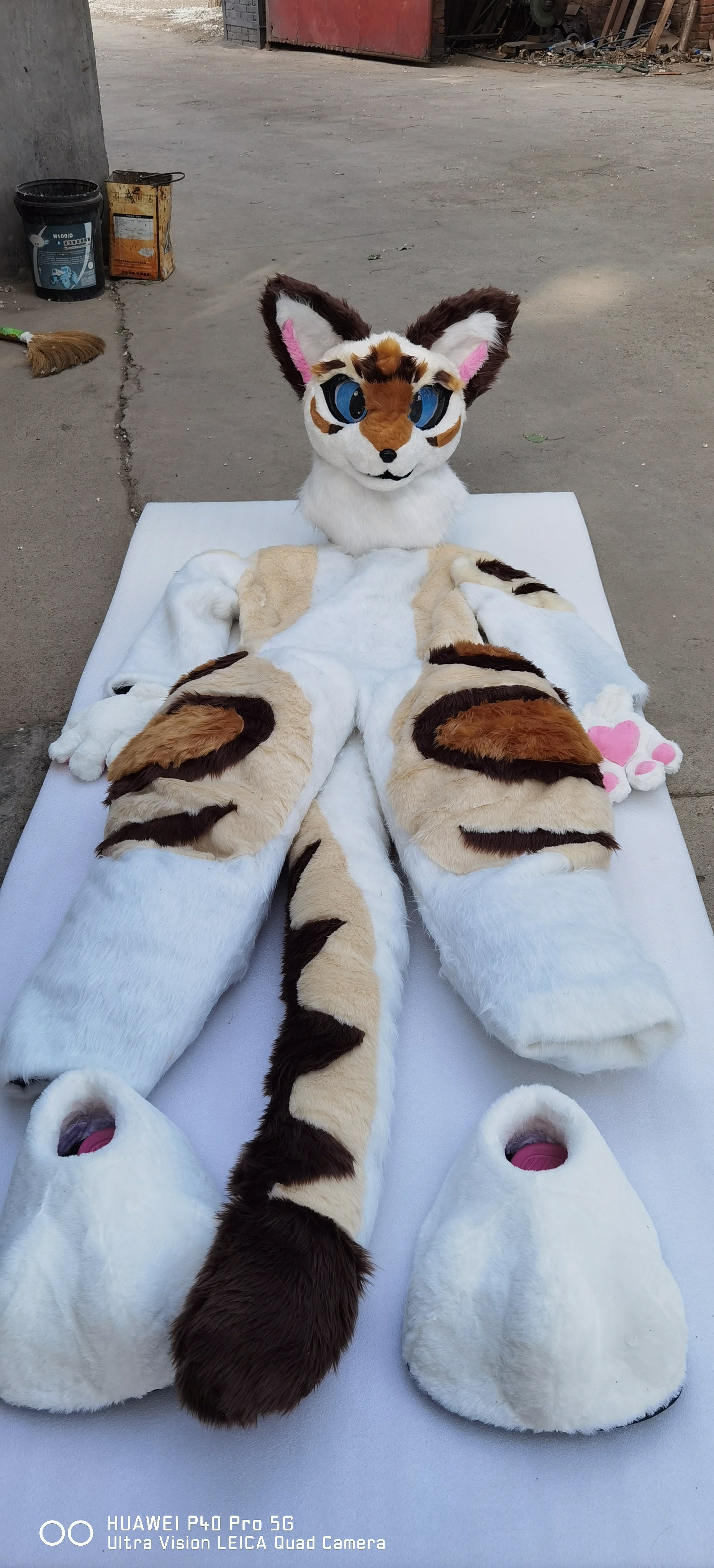 Apricot Fox Cat Prop Fursuit Kigurumi Furry Fursona Costumes Furries