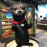 New School Sport Plush Otter Mascot Costumes Carnival Party Cosplay Suit