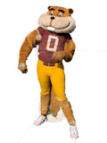 Premium Team Sports Cheerleading University of Minnesota Twin Cities Goldy Gopher Mascot Costumes School Games Sporting Events Pep Rally