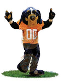 Premium Team Sports Cheerleading University of Tennessee, Knoxville Smokey Mascot Costumes School Games Sporting Events Pep Rally