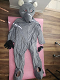 Gray Mouse Mascot Costumes Carnival Party Cosplay Suit