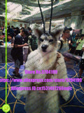 Maßgeschneidert verfügbar ECHTES FOTO dx0035 Kopf KATZE komplette Sets Husky Hund Anzug Fursuit Kostüm Fuchs Party Karneval Geschenk