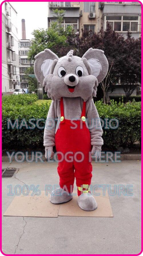 Costume mascotte de Koala