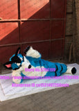 3-D Eyes Slim  Legs  BLUE WOLF HUKSY DOG REAL B3 Furry Fursuit  Suit Costume Animal Party FOX HUSKY Birthday Gift -  by FurryMascot - 