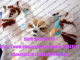 Customized Available REAL PHOTO dx0032 head CAT full sets  husky dog  Suit  fursuit Costume fox Party Carnival Gift -  by FurryMascot - 