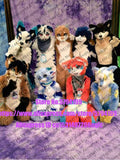 Customized Available REAL PHOTO dx0055 head CAT full sets  husky dog  Suit  fursuit Costume fox Party Carnival Gift