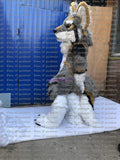 Customized available real photo full sets  grey wolf husky dog  Suit  fursuit  Costume fox Party Dress g6h7 Carnival Gift -  by FurryMascot - 