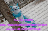 Customized Available REAL PHOTO dx0028 head CAT full sets  husky dog  Suit  fursuit Costume fox Party Carnival Gift